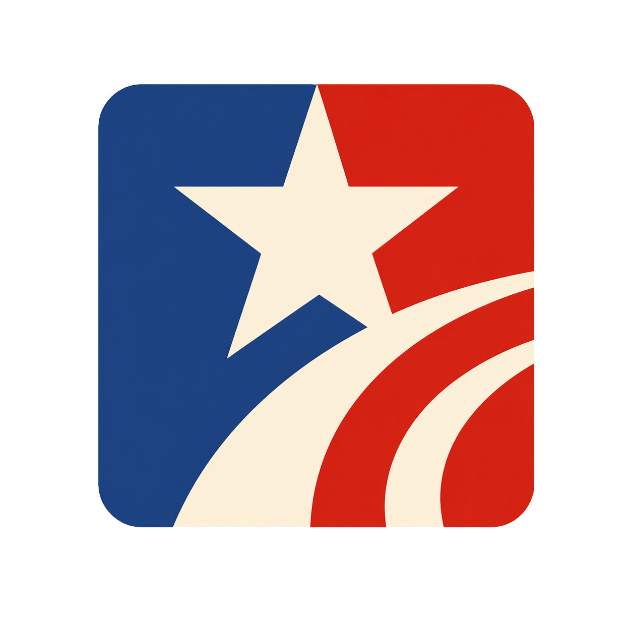 Runoff Voter Guide logo